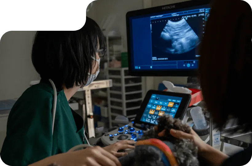 プロフェッショナル意識