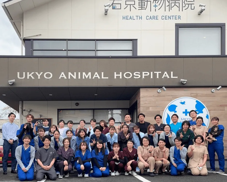 最善の獣医療を提供するプロフェショナルな集団