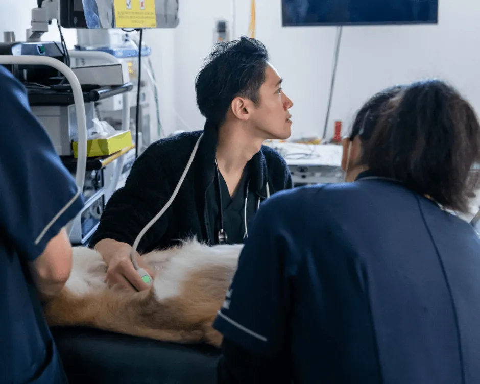 社内価値でなく市場価値が高まるように