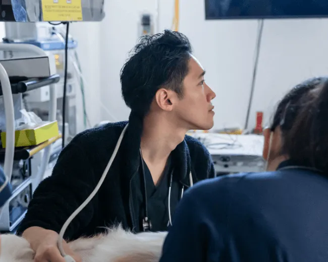 世界に誇れる動物病院を “一緒” に作っていきましょう