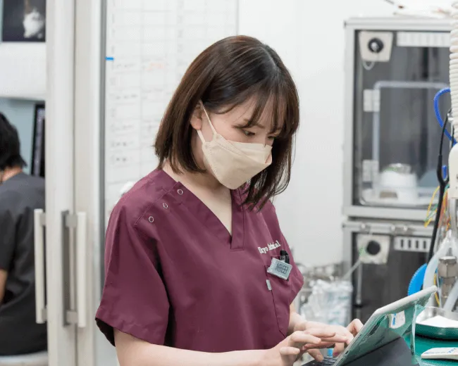 世界に誇れる動物病院を “一緒” に作っていきましょう