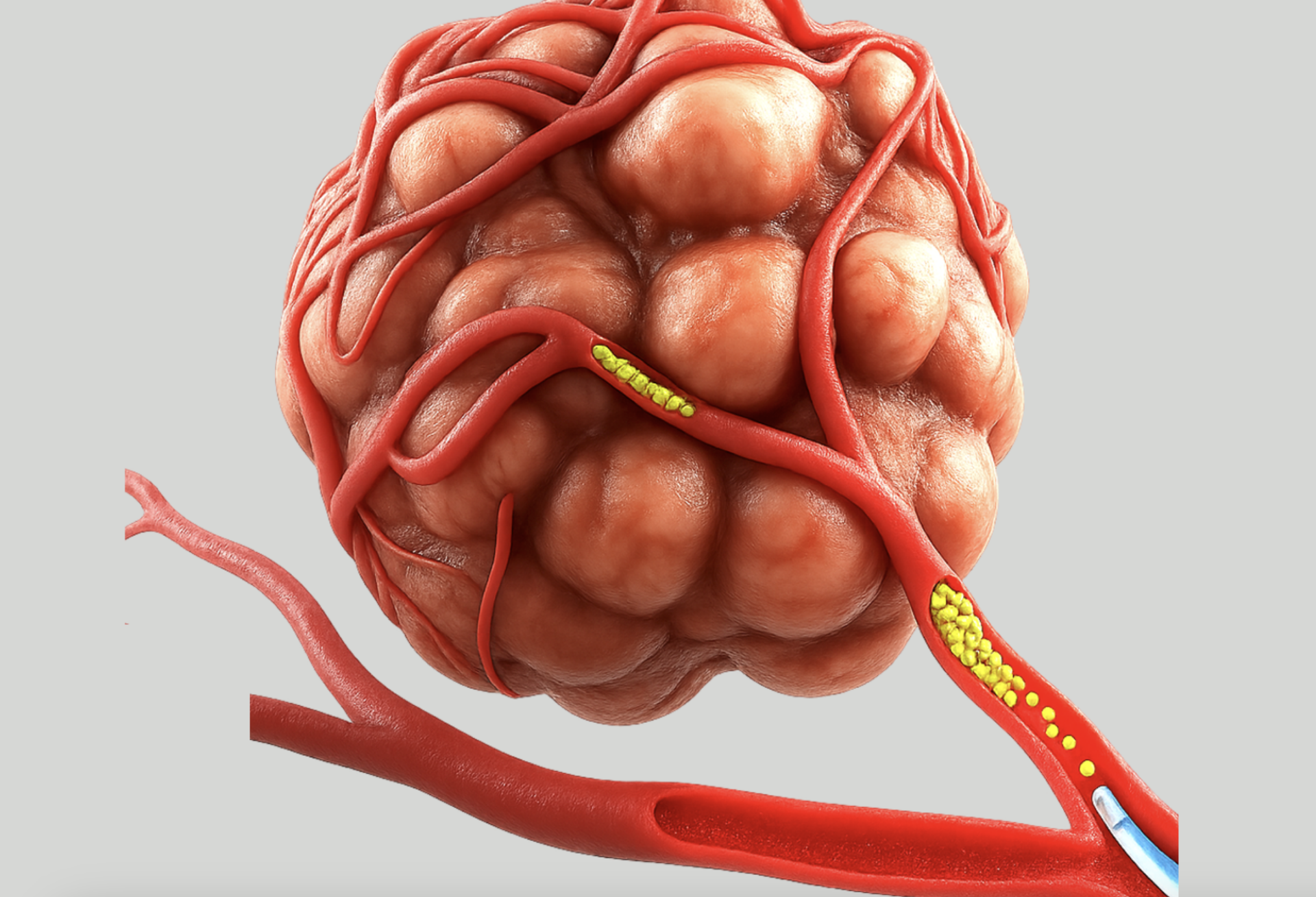 全臓器に大きな効果