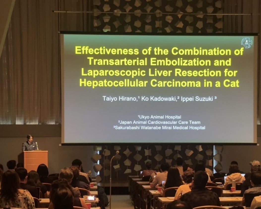 タイトルが入ります。タイトルが入ります。タイトルが入ります。タイトルが入ります。